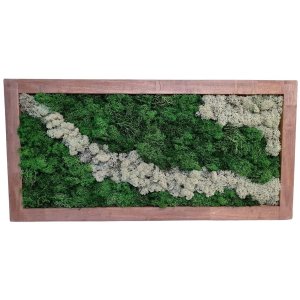 Moss wall art 80x40cm